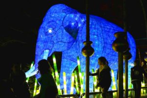 SYDNEY, AUSTRALIA - MAY 24: An Asian elephant light sculpture is displayed during a media preview of Vivid Sydney illuminated displays at Taronga Zoo on May 24, 2016 in Sydney, Australia. Vivid is lighting up at Taronga Zoo for the first time with ten giant animal sculptures representing critical species the zoo is committed to protecting. Held annually, Vivid Sydney is the world's largest festival of light, music and ideas running for 23 days. (Photo by Cameron Spencer/Getty Images)