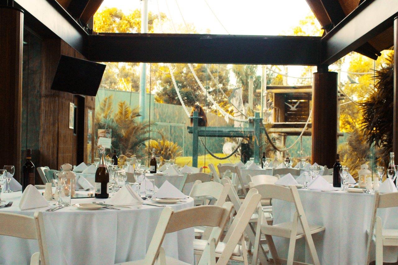 Adelaide Zoo Function Venues South Australia Rooms CBD Venue Hire Party Room Birthday Corporate Event 3