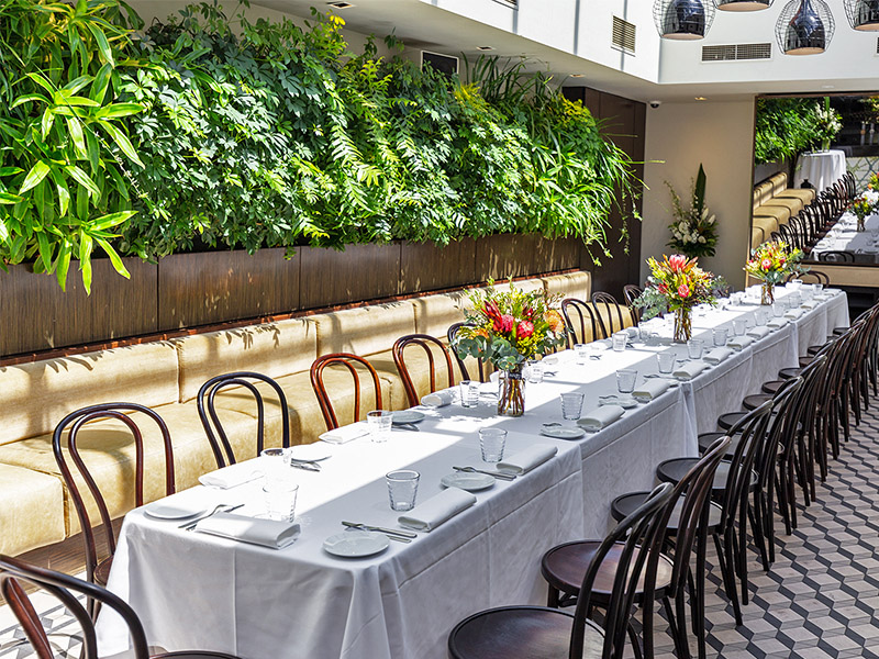 Botanical Hotel South Yarra Melbourne restaurant restaurants fine dining private australian seafood classy date client dinner outdoor 2