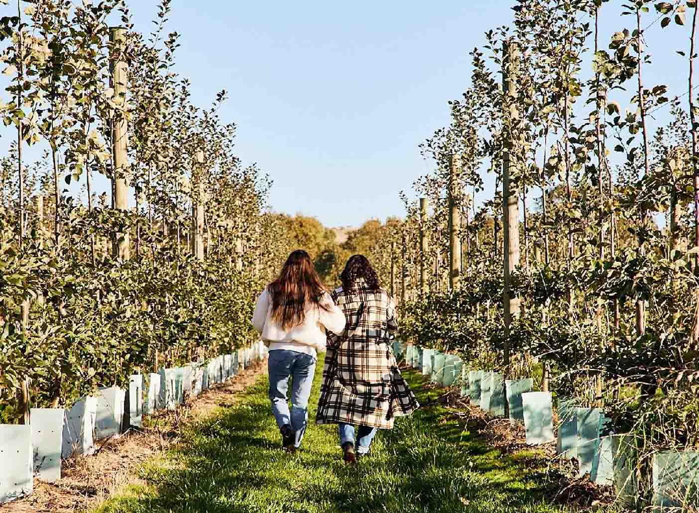 Darraweit Valley Cider